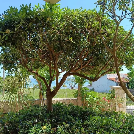 דירה Calypso